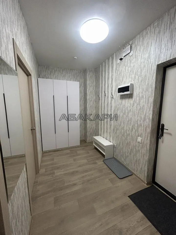 1-комнатная Караульная улица, 39А  за 40000 руб/мес фото 6