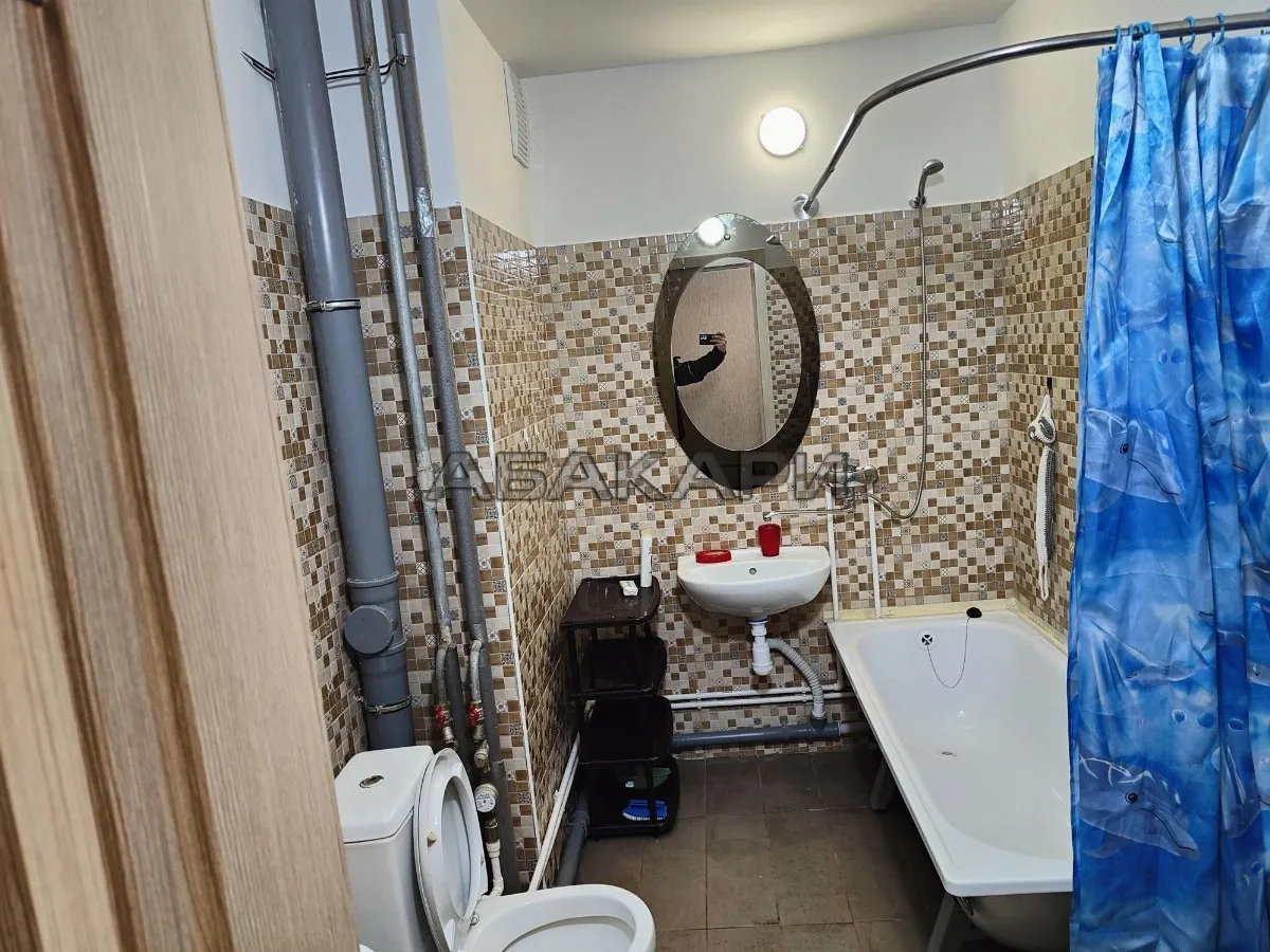 2-комнатная Светлогорский переулок, 18  за 35000 руб/мес фото 9