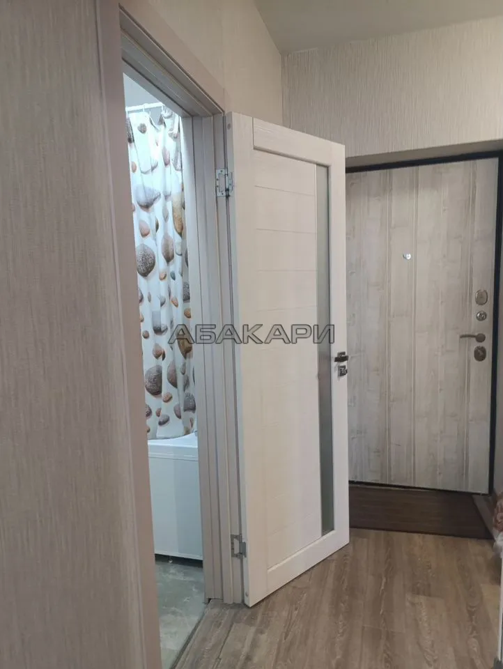 1-комнатная улица Петра Подзолкова, 21  за 30000 руб/мес фото 5