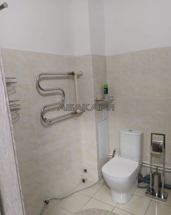 2-комнатная улица Алексеева, 48А  за 45000 руб/мес фото 7