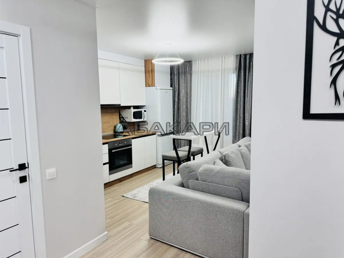 студия Караульная улица, 42  за 40000 руб/мес фото 1