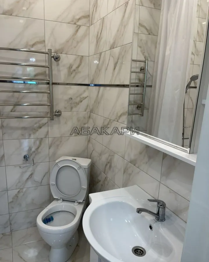 студия улица Мужества, 10А  за 35000 руб/мес фото 2