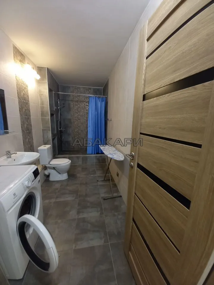 1-комнатная Дудинская улица, 2В  за 40000 руб/мес фото 10