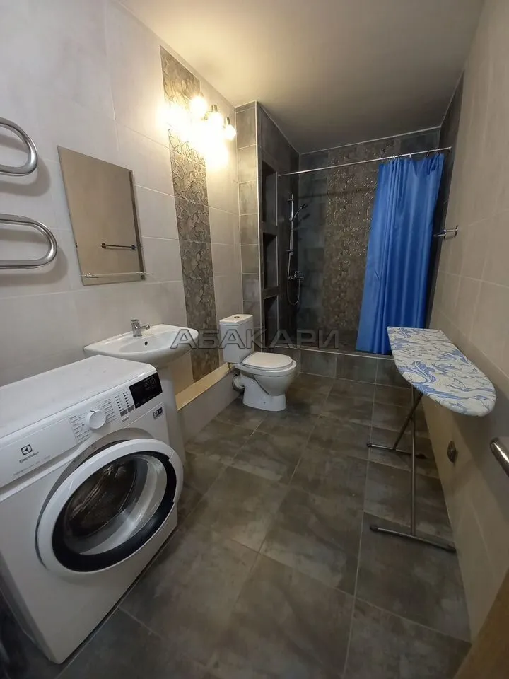 1-комнатная Дудинская улица, 2В  за 40000 руб/мес фото 11