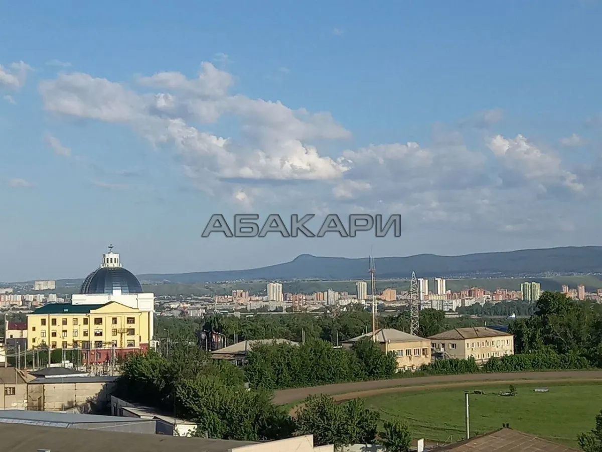 1-комнатная Дудинская улица, 2В  за 40000 руб/мес фото 13