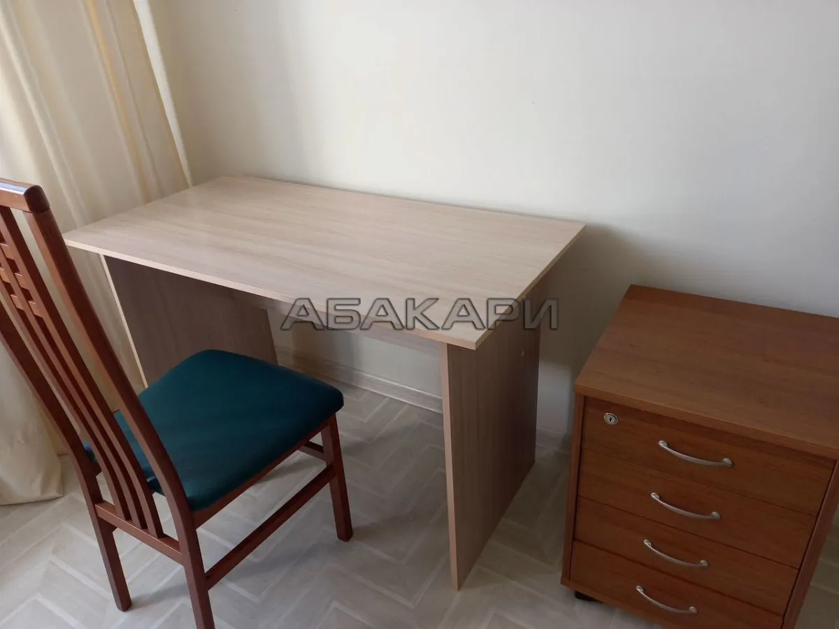 1-комнатная Дудинская улица, 2В  за 40000 руб/мес фото 5