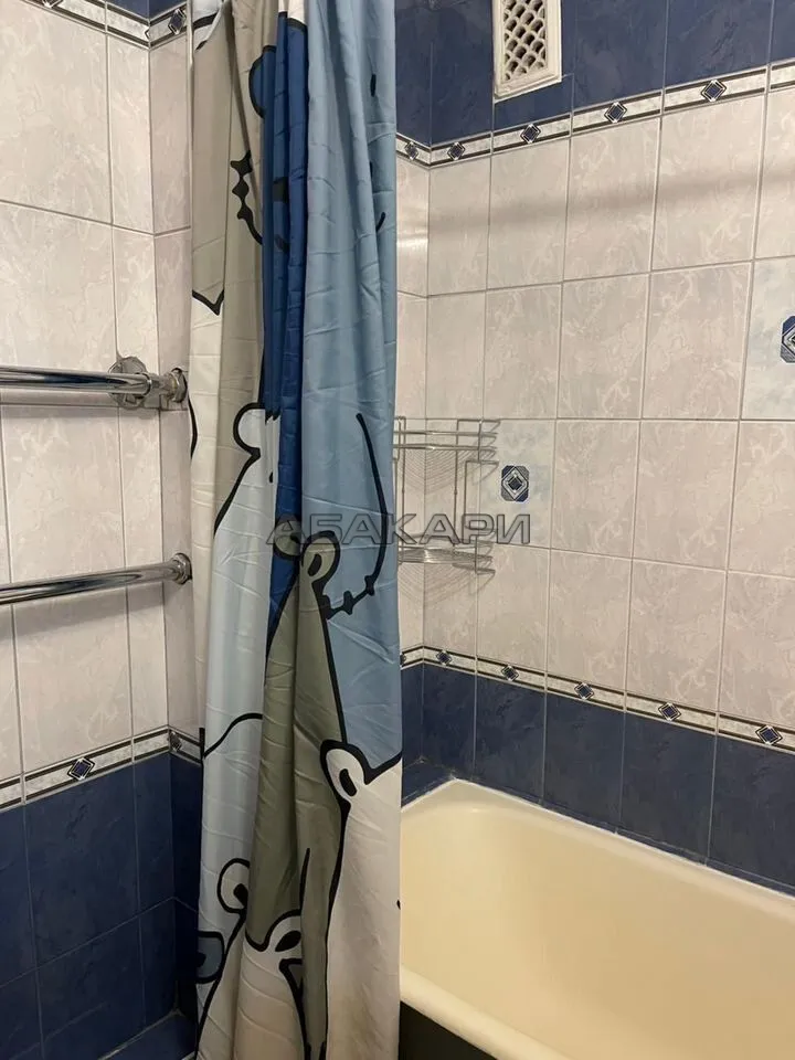 4-комнатная улица Белинского, 1  за 70000 руб/мес фото 13