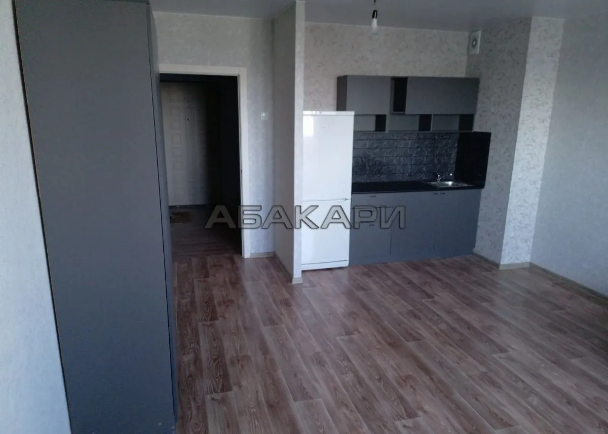 студия улица Дубровинского, 110А  за 35000 руб/мес фото 2