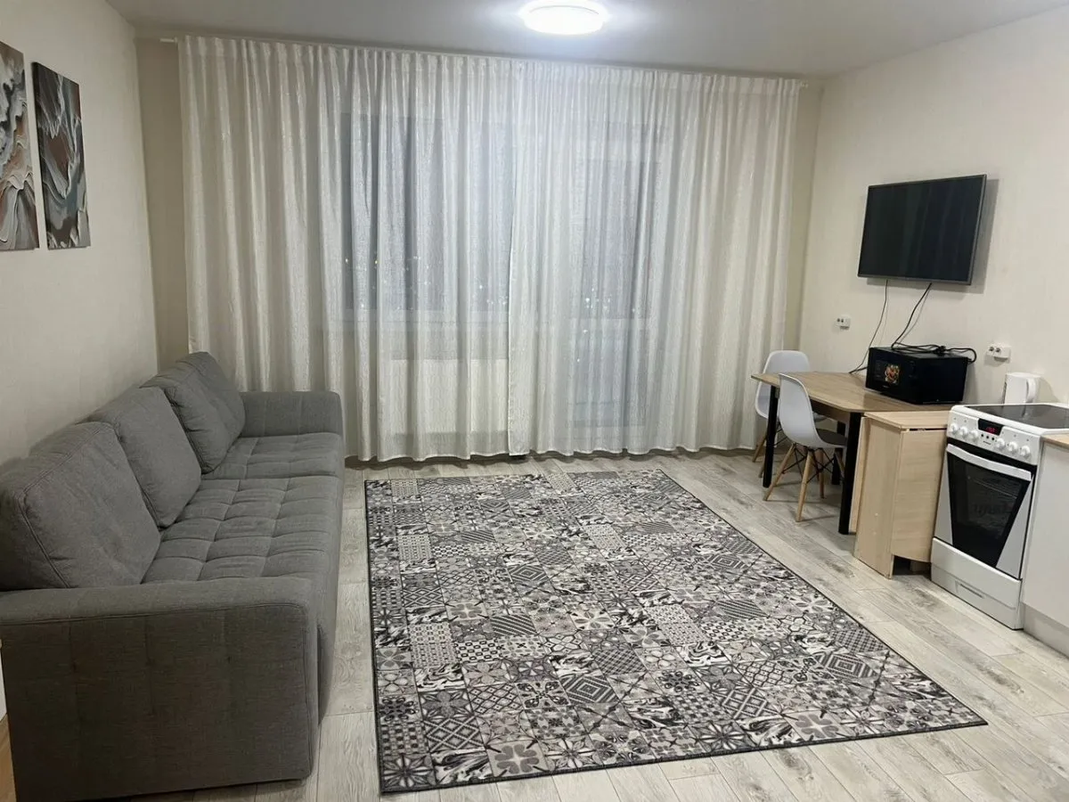 студия улица Петра Подзолкова, 22  за 30000 руб/мес фото 1