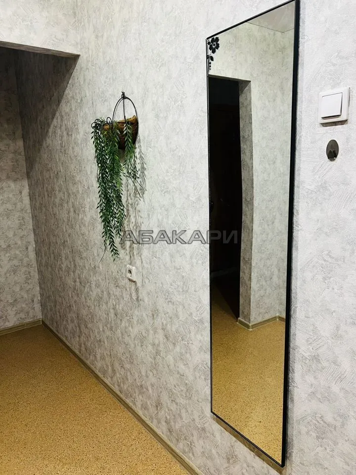 1-комнатная Караульная улица, 82  за 40000 руб/мес фото 7