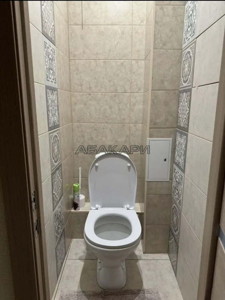 1-комнатная улица Чернышевского, 98  за 35000 руб/мес фото 9