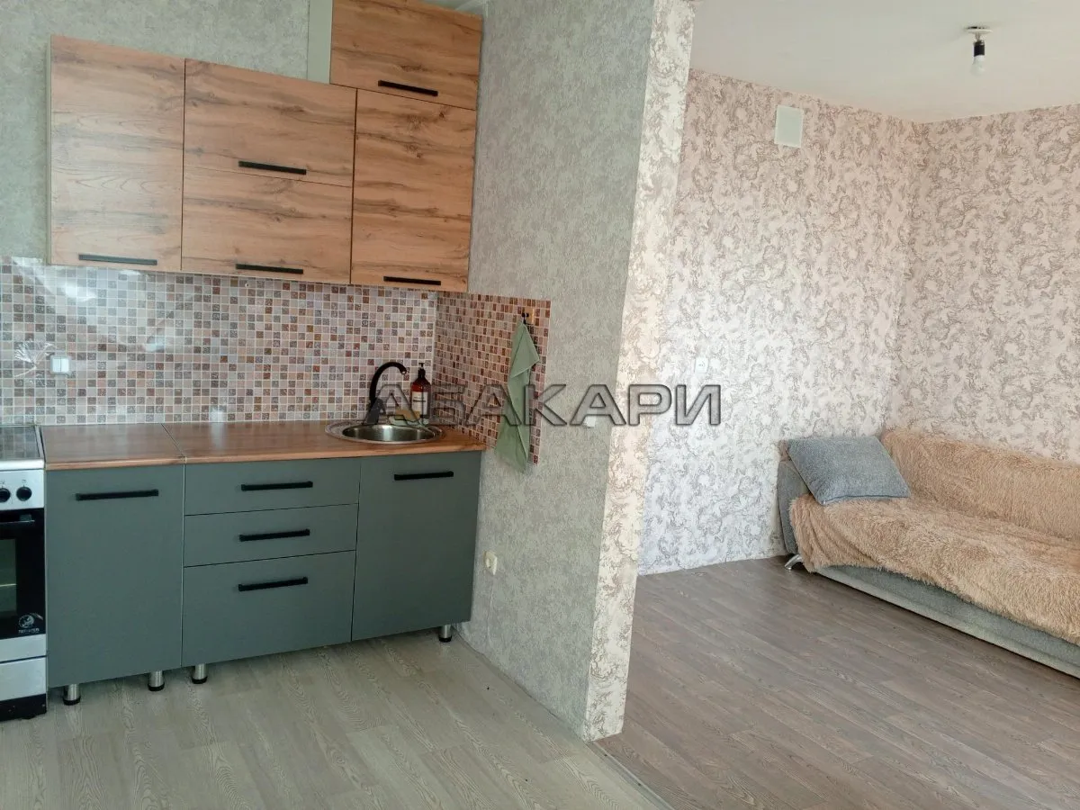 1-комнатная улица Петрушина, 8  за 21000 руб/мес фото 2