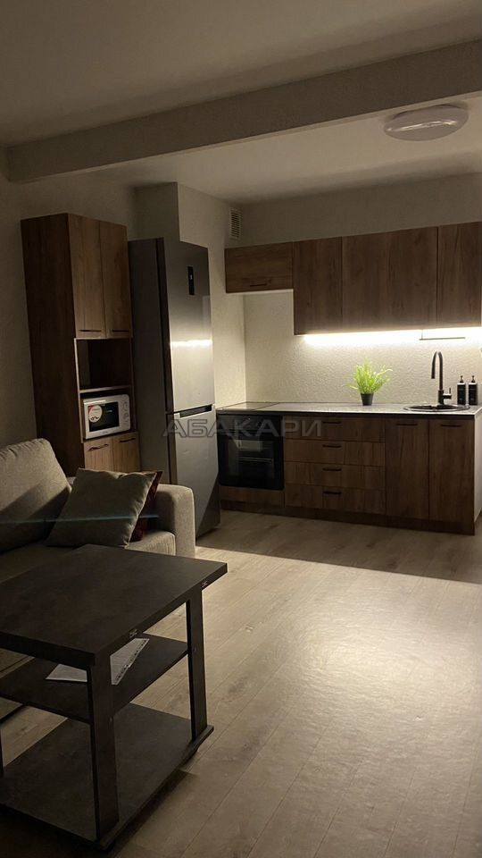 студия Апрельская улица, 4А  за 33000 руб/мес фото 2