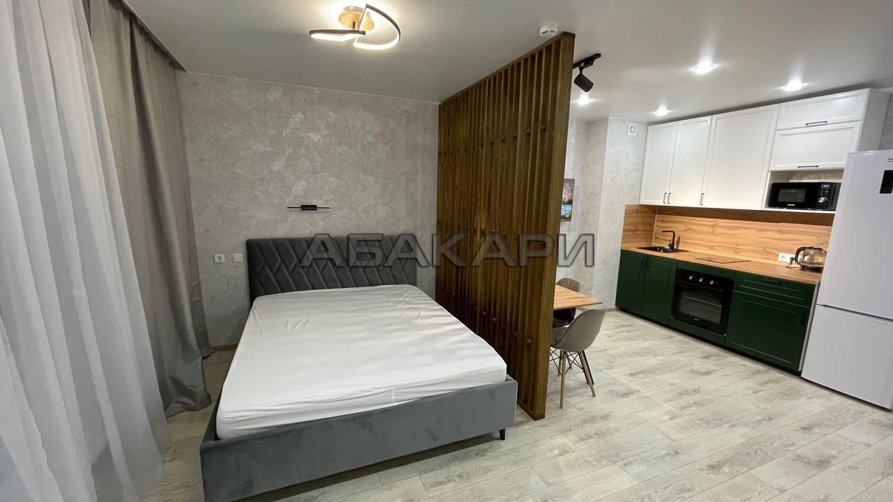 студия Судостроительная улица, 31К  за 32000 руб/мес фото 3