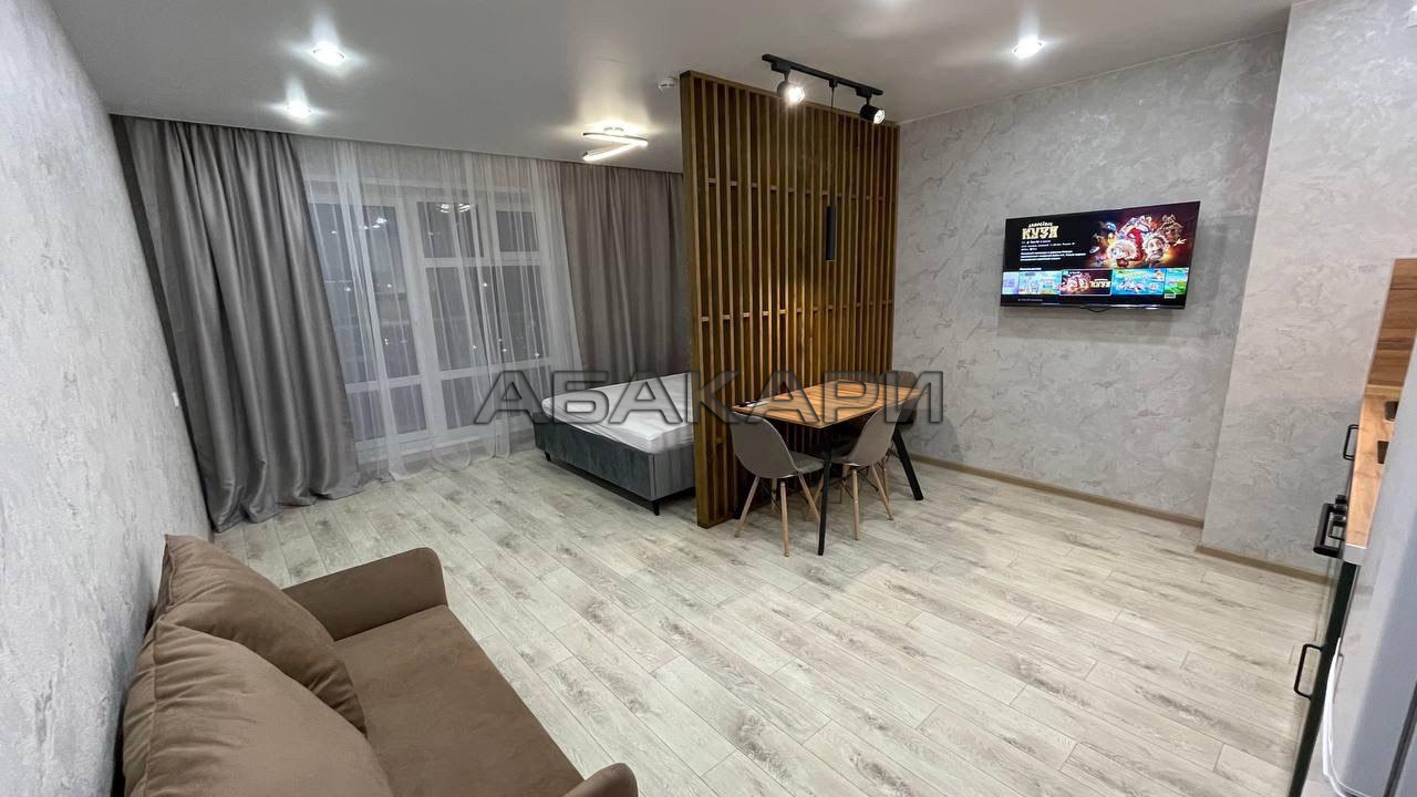 студия Судостроительная улица, 31К  за 32000 руб/мес фото 5