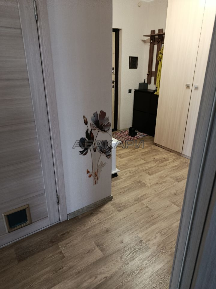 3-комнатная Дудинская улица, 2Б за 45000 руб/мес фото 11 3-комнатная Дудинская улица, 2Б за 45000 руб/мес фото 11