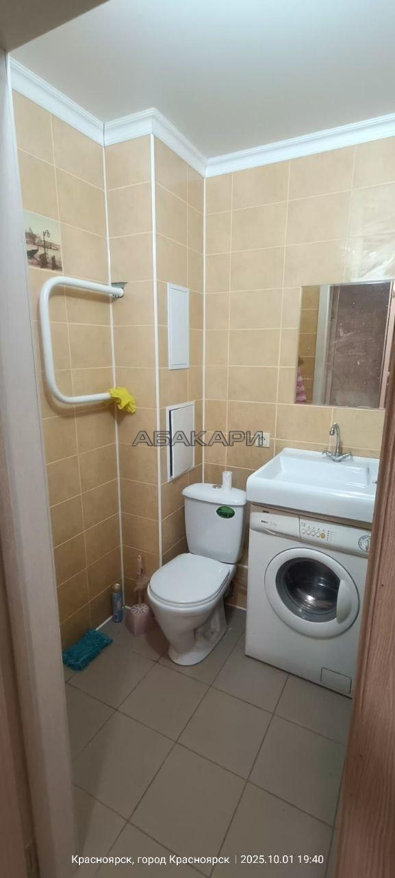 1-комнатная Соколовская улица, 54  за 24000 руб/мес фото 8