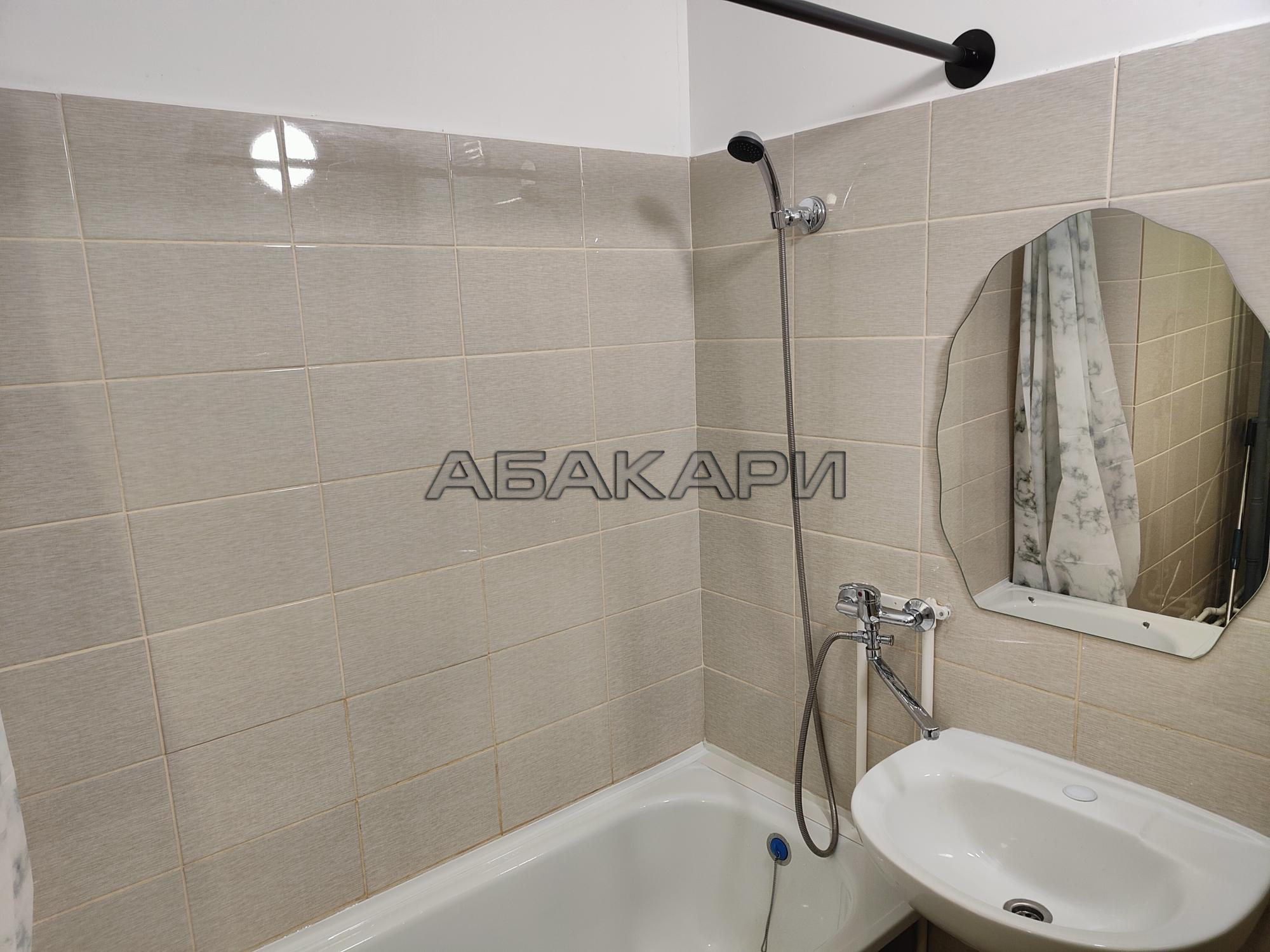 1-комнатная Светлогорский переулок, 12А  за 30000 руб/мес фото 5