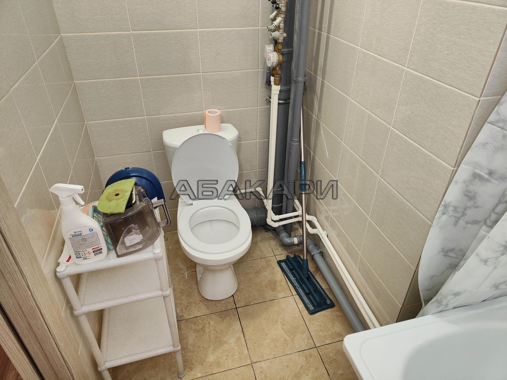 1-комнатная Светлогорский переулок, 12А  за 30000 руб/мес фото 6