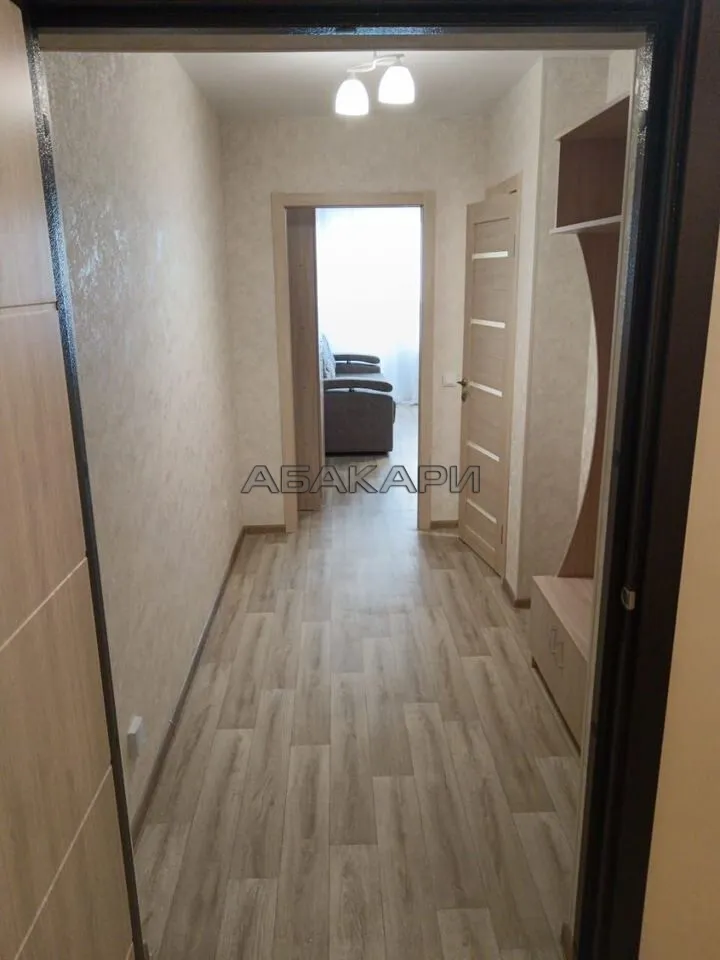 студия Дудинская улица, 2Е  за 29000 руб/мес фото 3