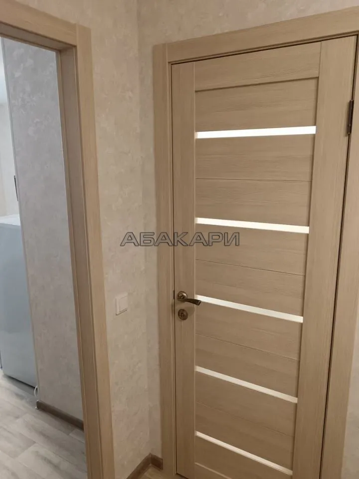 студия Дудинская улица, 2Е  за 29000 руб/мес фото 5