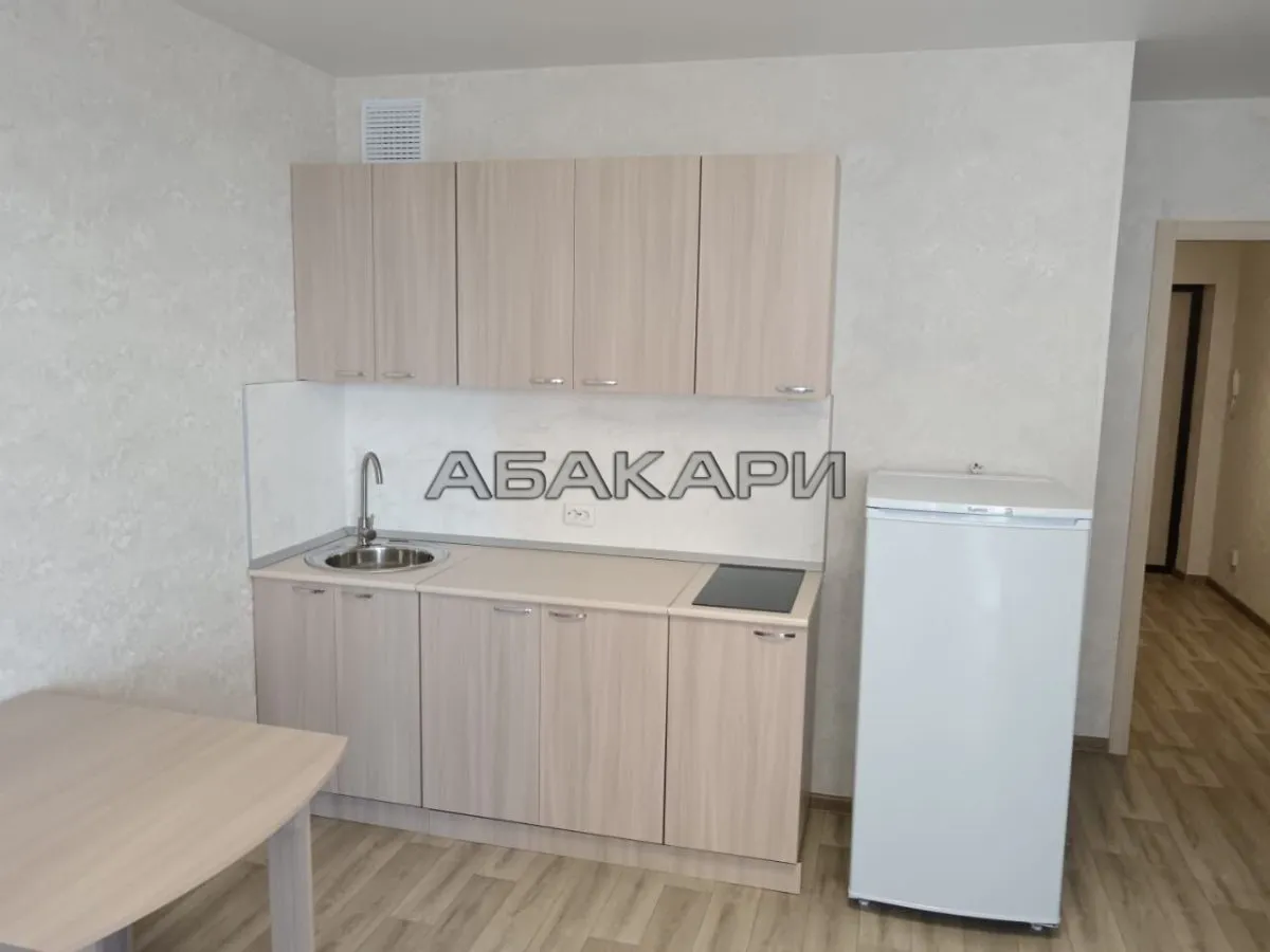 студия Дудинская улица, 2Е  за 29000 руб/мес фото 1