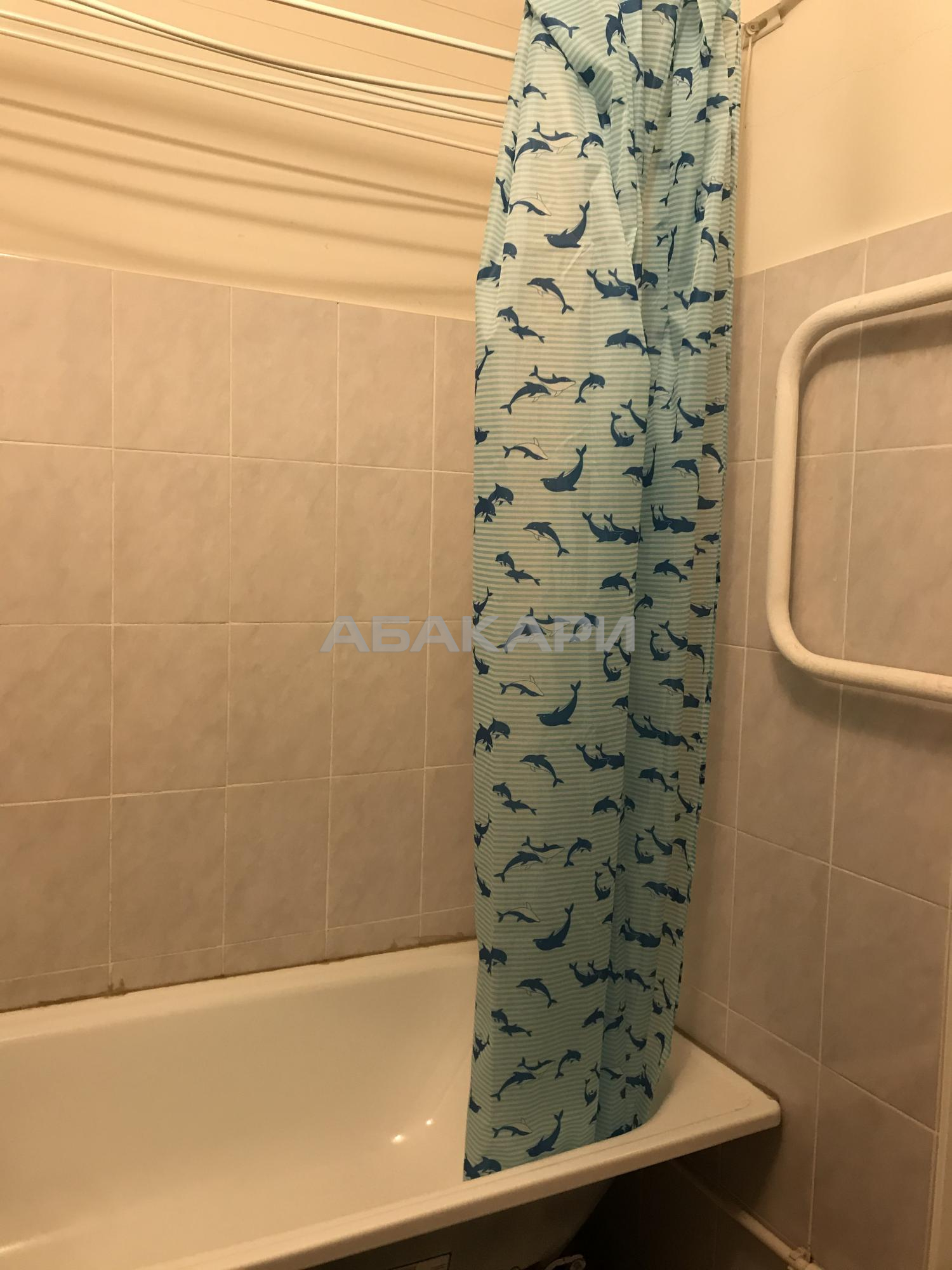 1-комнатная улица Чернышевского, 110  за 26000 руб/мес фото 8