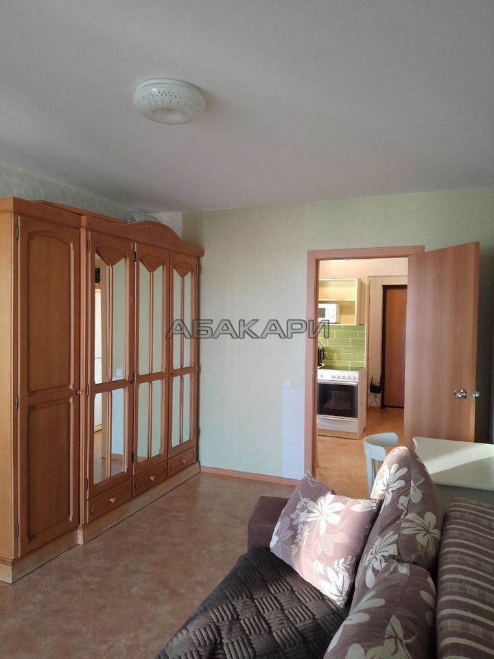 1-комнатная Ярыгинская набережная, 9  за 30000 руб/мес фото 23