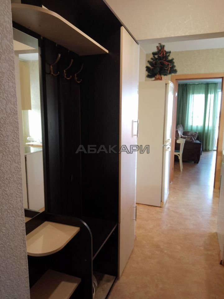 1-комнатная Ярыгинская набережная, 9  за 30000 руб/мес фото 22