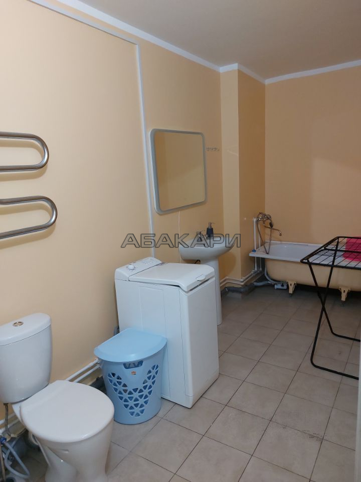 1-комнатная Дудинская улица, 2В  за 37000 руб/мес фото 4