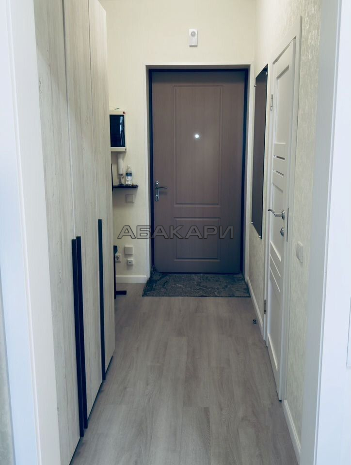 студия Октябрьская улица, 16  за 40000 руб/мес фото 8