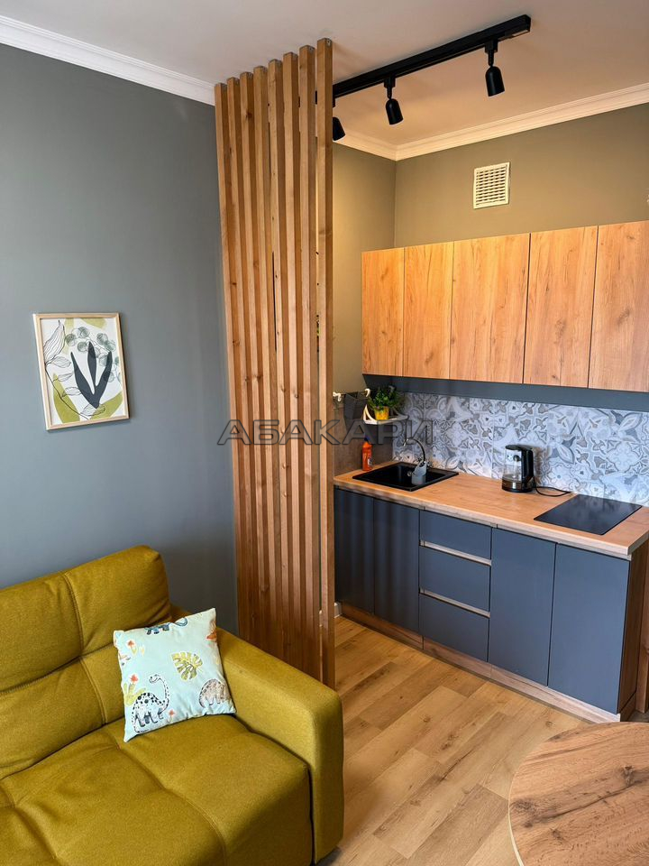 1-комнатная 1-я Хабаровская улица, 7  за 40000 руб/мес фото 2