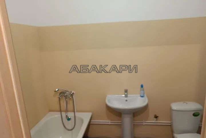 1-комнатная Караульная улица, 39В  за 23000 руб/мес фото 2