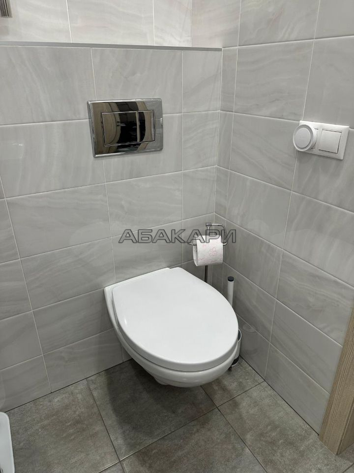 1-комнатная Линейная улица, 114 за 45000 руб/мес фото 12 1-комнатная Линейная улица, 114 за 45000 руб/мес фото 12