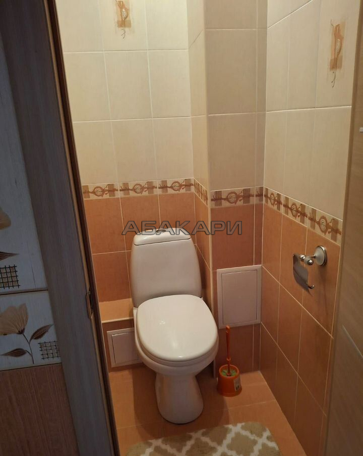 1-комнатная Светлогорский переулок, 21  за 30000 руб/мес фото 1