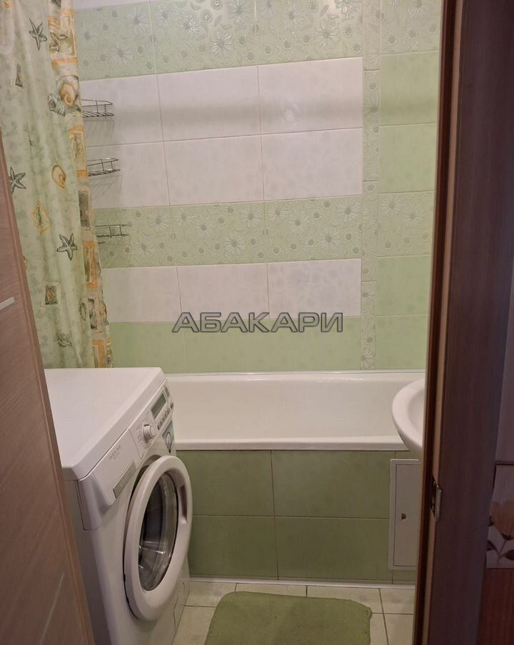 1-комнатная Светлогорский переулок, 21  за 30000 руб/мес фото 4