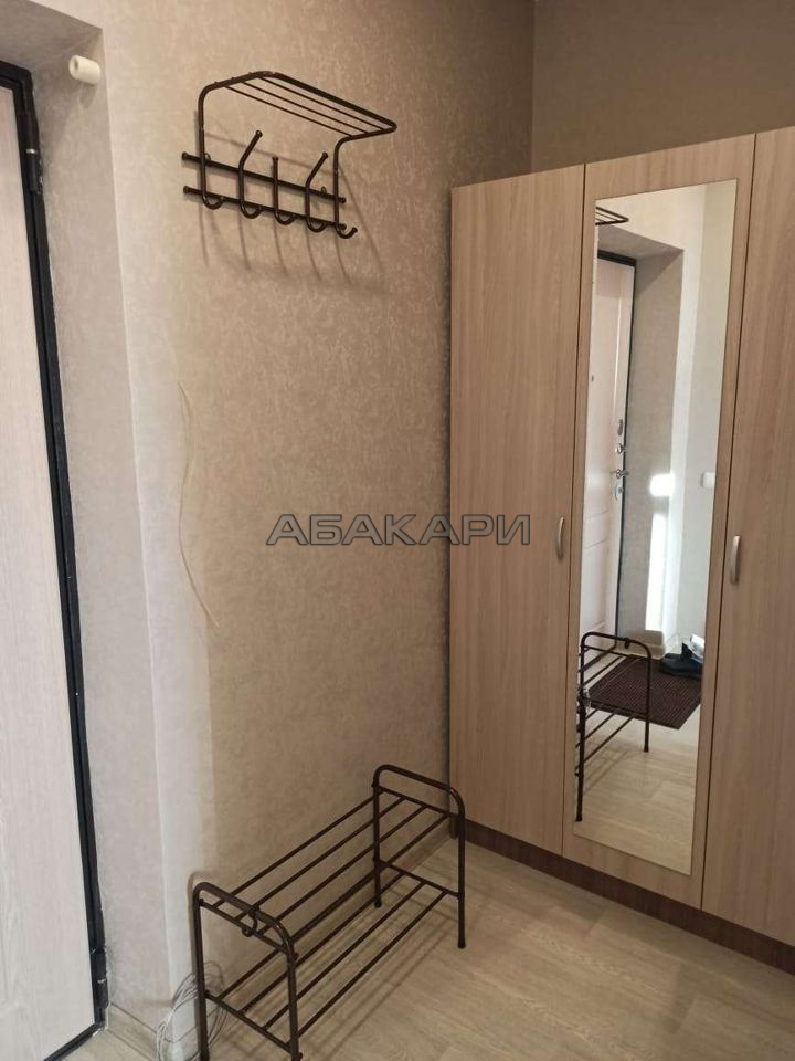 1-комнатная улица Петра Подзолкова, 21 за 31000 руб/мес фото 7 1-комнатная улица Петра Подзолкова, 21 за 31000 руб/мес фото 7