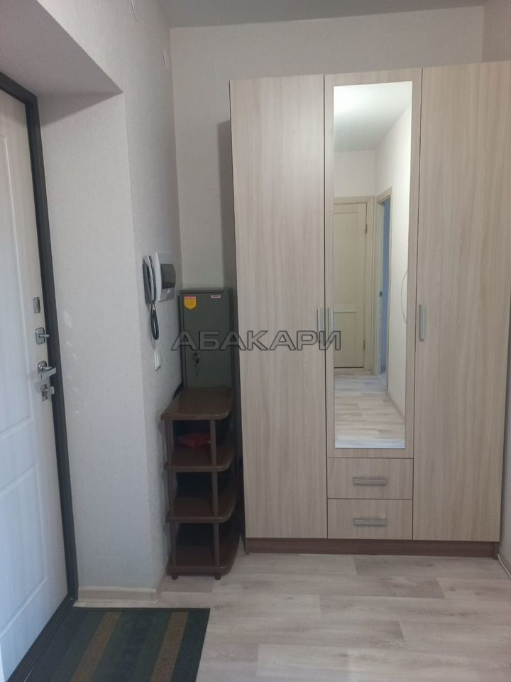 1-комнатная Регатная улица, 2 за 32000 руб/мес фото 3 1-комнатная Регатная улица, 2 за 32000 руб/мес фото 3