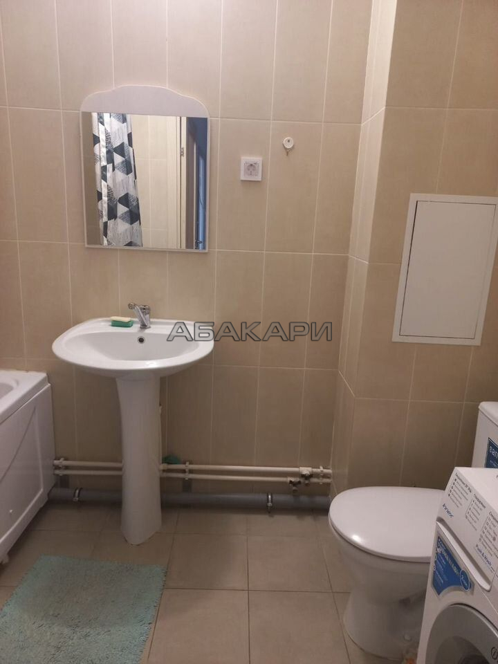 1-комнатная Регатная улица, 2  за 32000 руб/мес фото 5