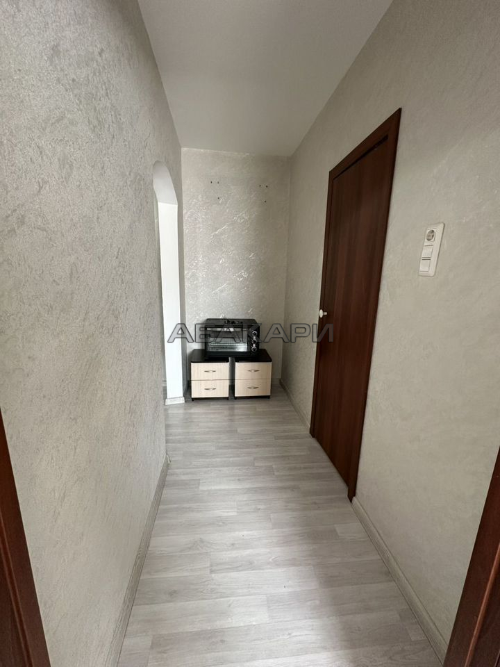 1-комнатная Светлогорский переулок, 2г  за 30000 руб/мес фото 4