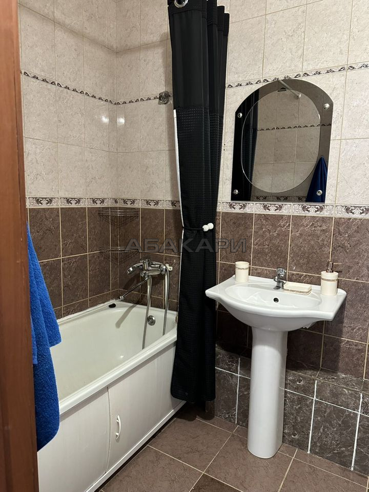 1-комнатная Светлогорский переулок, 2г  за 30000 руб/мес фото 5