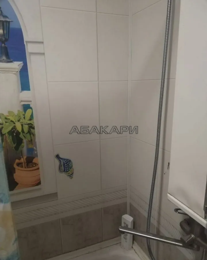 1-комнатная Судостроительная улица, 161  за 25000 руб/мес фото 8