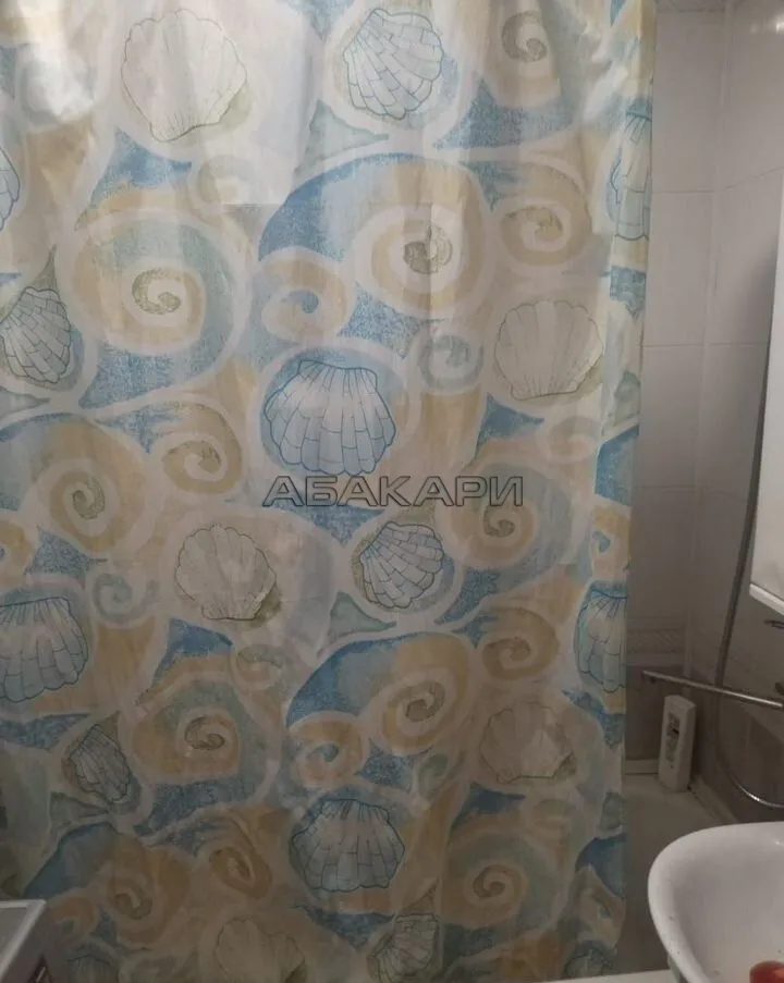 1-комнатная Судостроительная улица, 161  за 25000 руб/мес фото 9