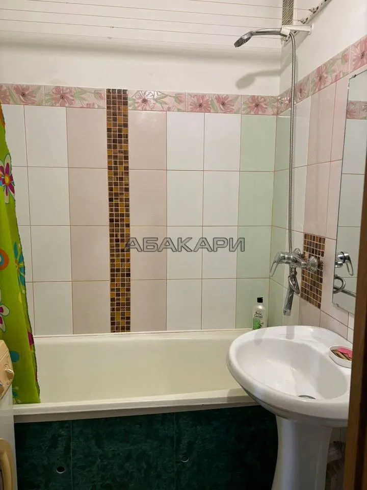 1-комнатная Судостроительная улица, 66 за 27000 руб/мес фото 12 1-комнатная Судостроительная улица, 66 за 27000 руб/мес фото 12