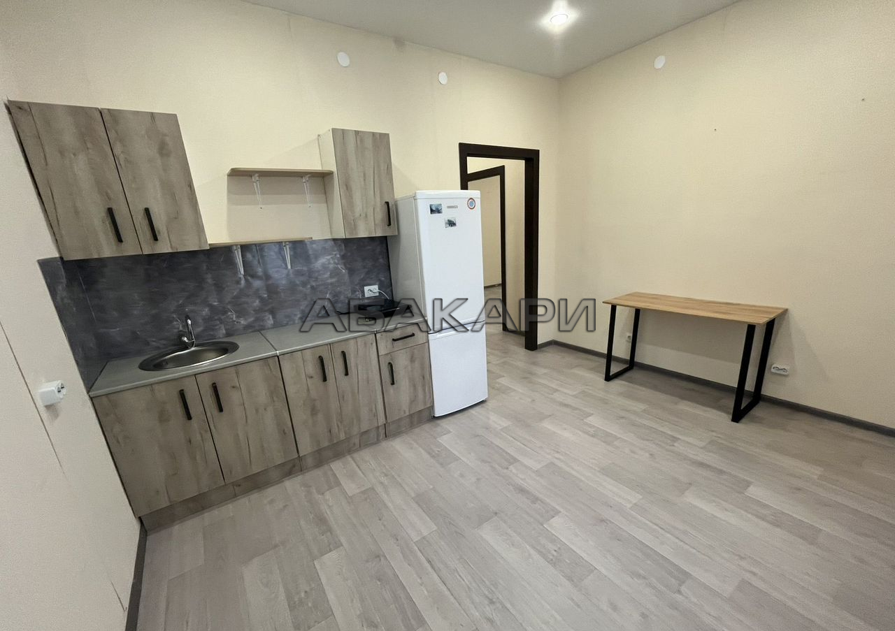 1-комнатная улица Петра Подзолкова, 6  за 35000 руб/мес фото 1