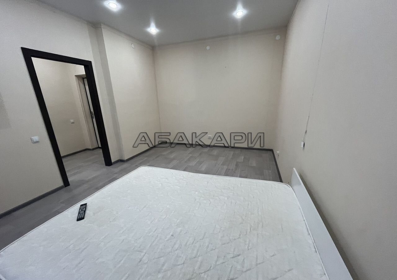 1-комнатная улица Петра Подзолкова, 6  за 35000 руб/мес фото 3