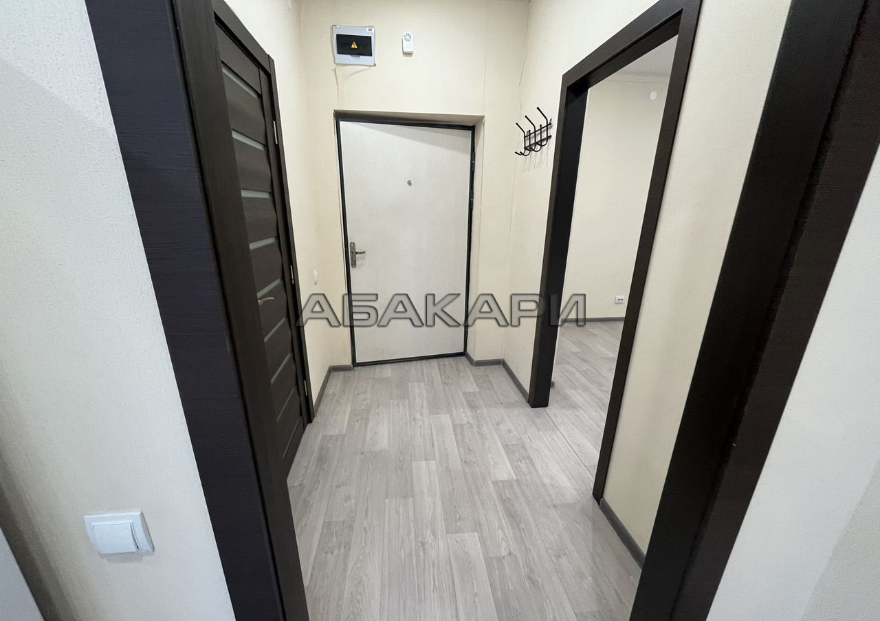 1-комнатная улица Петра Подзолкова, 6  за 35000 руб/мес фото 6