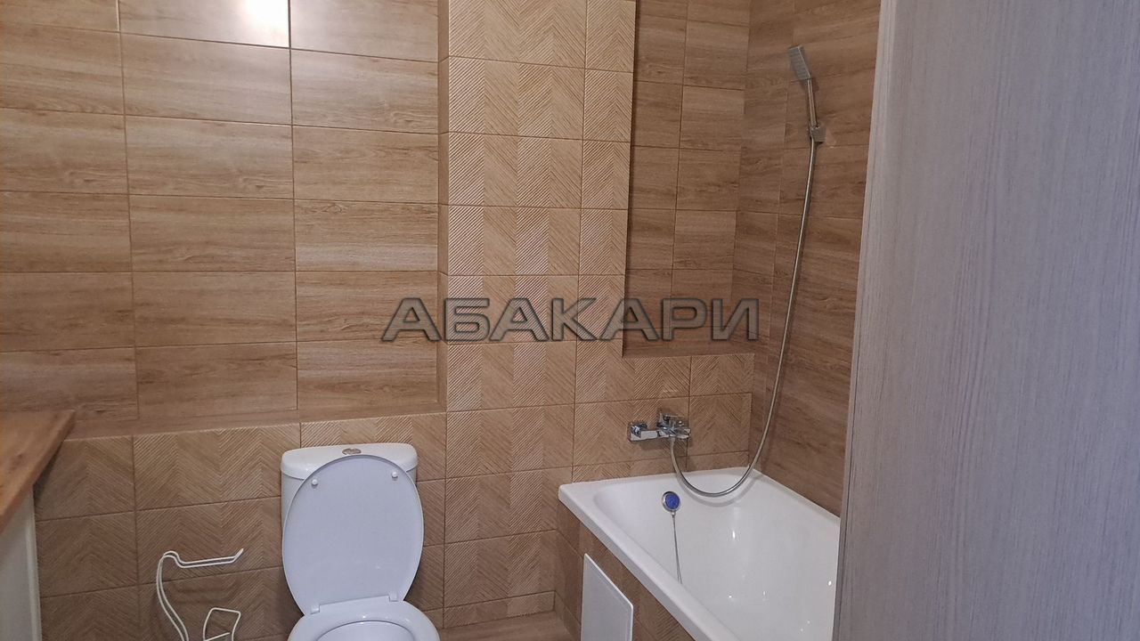 1-комнатная Караульная улица, 39Б  за 38000 руб/мес фото 13