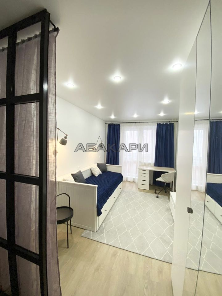 1-комнатная Светлогорский переулок, 2  за 40000 руб/мес фото 3