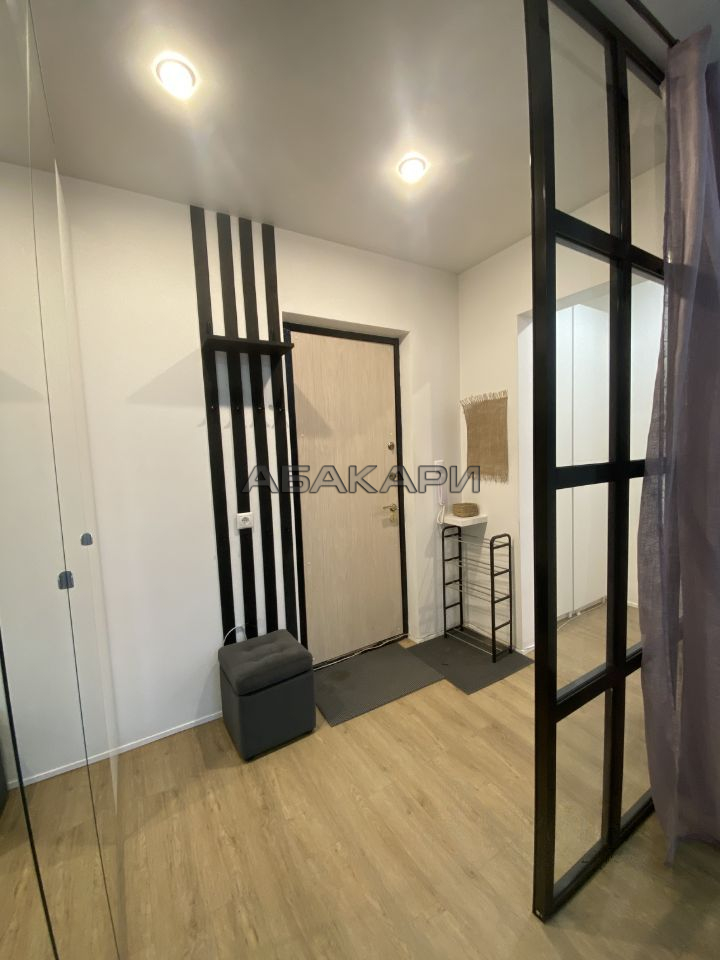 1-комнатная Светлогорский переулок, 2  за 40000 руб/мес фото 4